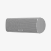 Piega ACE Centre Speaker