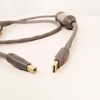 Shunyata Omega USB Demo