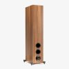 Martin Logan Foundation F2 Floorstanding Speakers