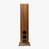Martin Logan Foundation F2 Floorstanding Speakers