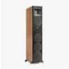 Martin Logan XT-F100 Speakers