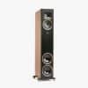 Martin Logan Motion F20 Speakers