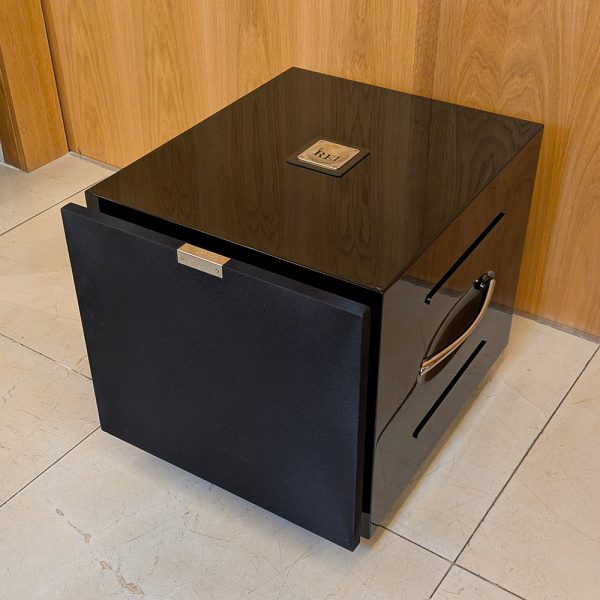 REL Carbon Special subwoofer